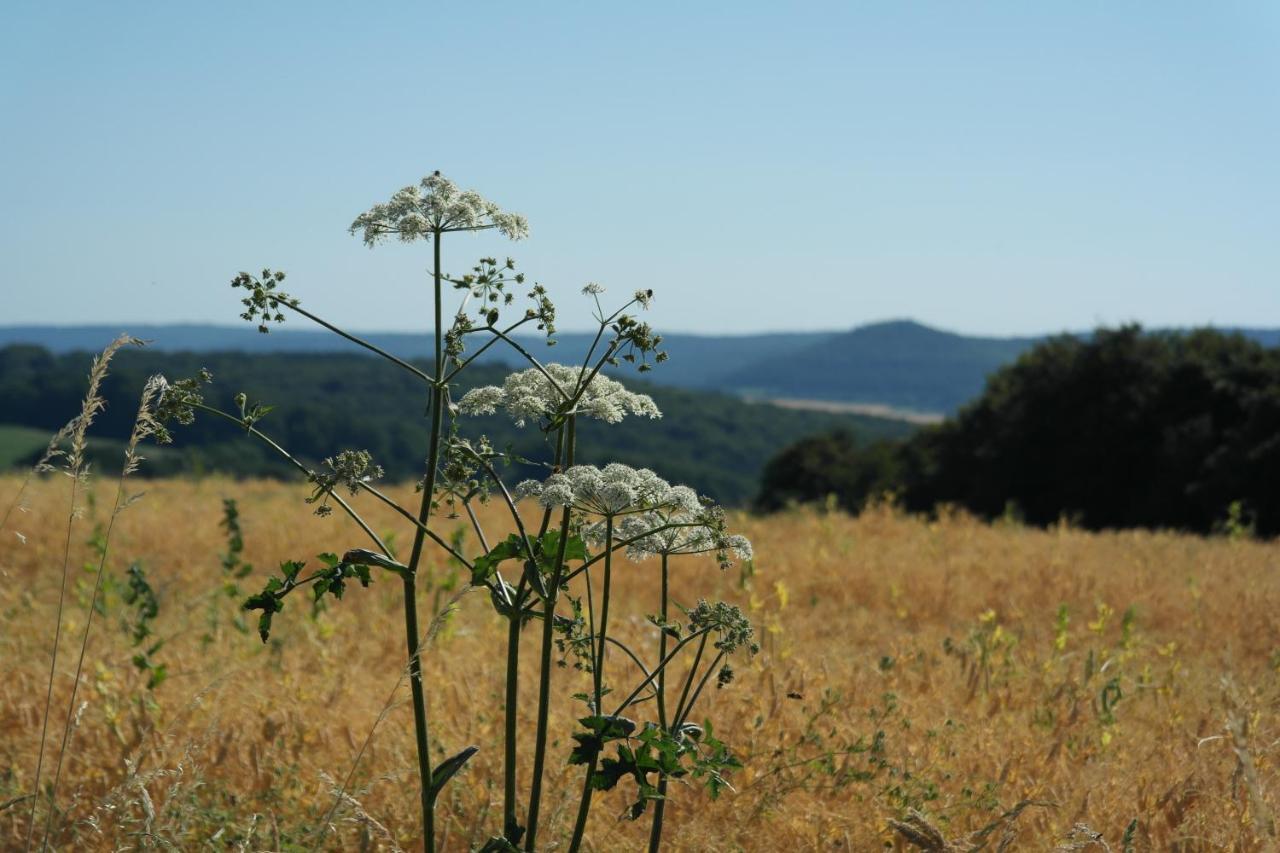 Landhotel Windlicht Krombach  Dış mekan fotoğraf